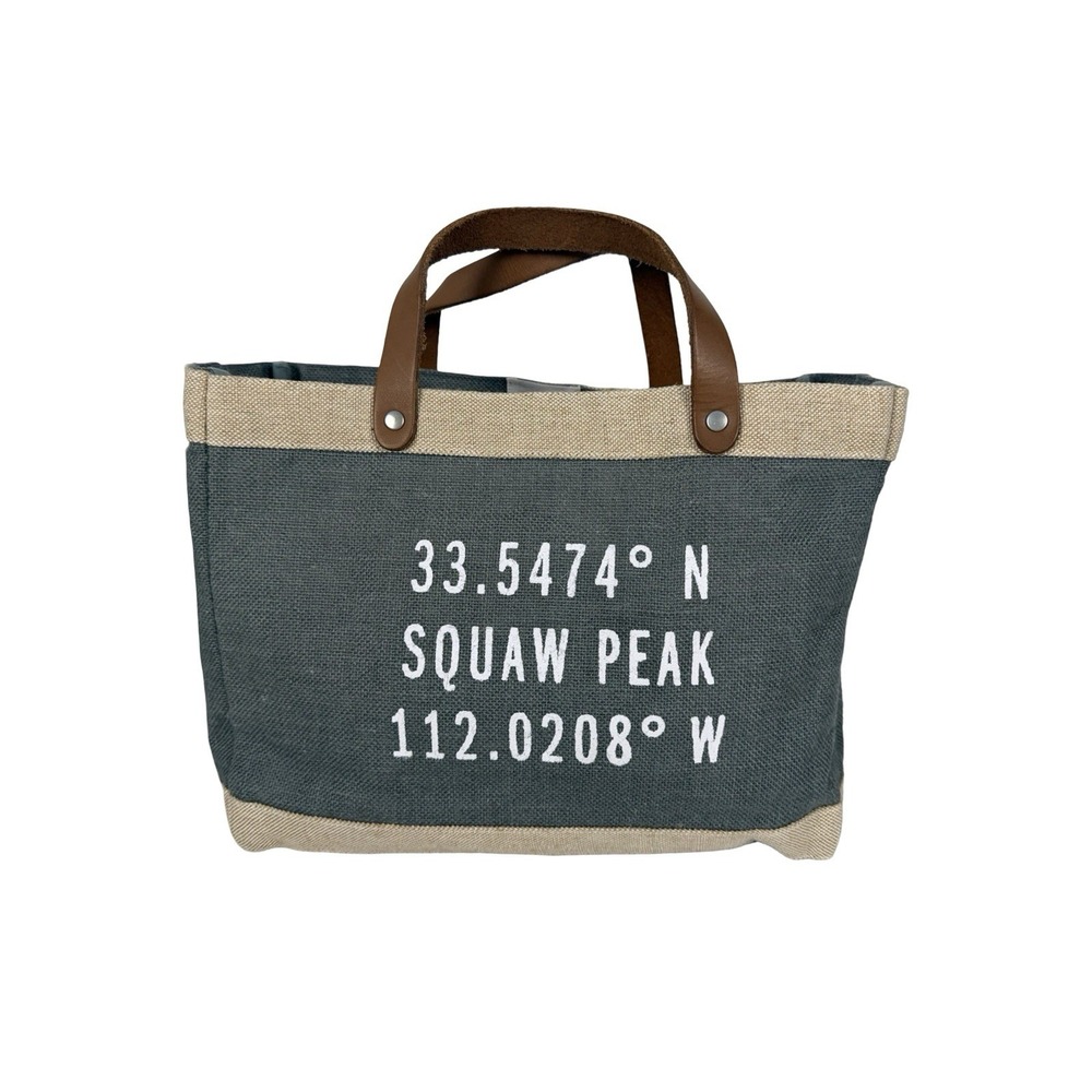 APOLIS Global Citizen Market Bag Tote Leather Handles Squaw Peak EUC